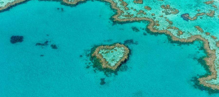 Helicopter tour of Heart Reef - Credit: Dean McQuade.